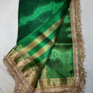 Organza saree AC233