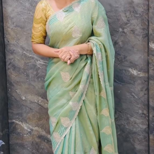 DESIGNER SAREE S255