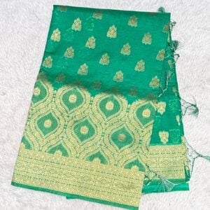 TISSUE SAREE HE467