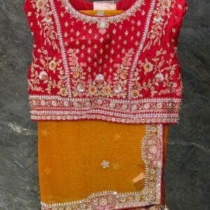 PREMIUM DESIGNER SAREE HW679