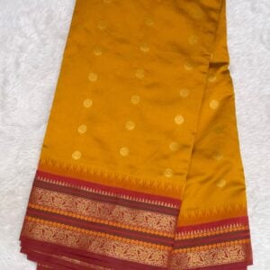 NARAYAN PETH VA167