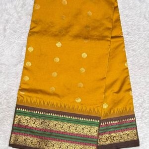 NARAYAN PETH VA167