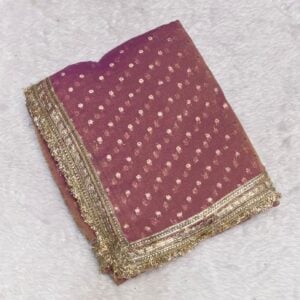 PARTY WEAR SAREE DW584