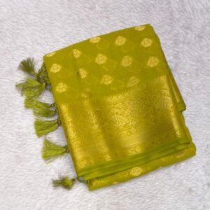 SOFT TISSUE JQ379