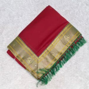 PLANE SAREE WK479