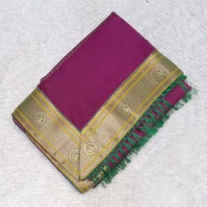 PLANE SAREE WK479