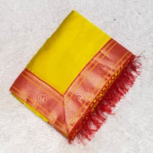 PLANE SAREE WK479