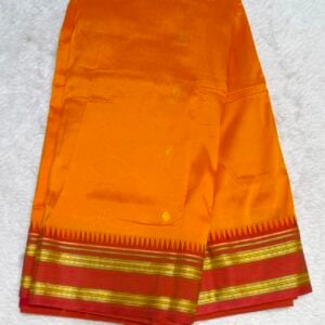 NARAYN PETH SAREE SG19