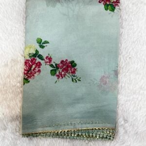 ORGENZA SAREE ND3