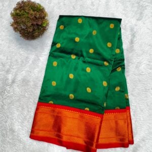 PAITHNI SAREE PS22
