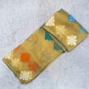 ORGANZA DUPATTA DP13