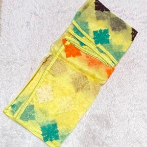 ORGANZA DUPATTA DP13