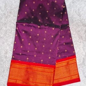 PAITHNI SAREE PS12