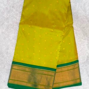 PAITHNI SAREE PS12