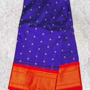 PAITHNI SAREE PS12