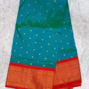 PAITHNI SAREE PS12