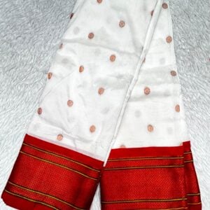 PAITHANI SAREE P58