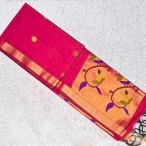 MUGA SILK PAITHANI SAREE JN545