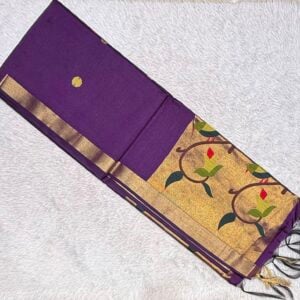 MUGA SILK PAITHANI SAREE JN545