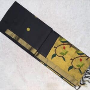 MUGA SILK PAITHANI SAREE JN545