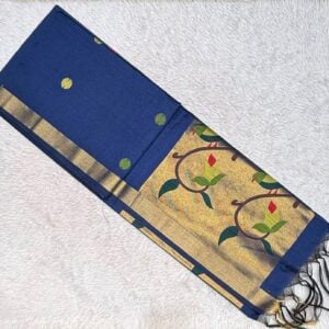 MUGA SILK PAITHANI SAREE JN545