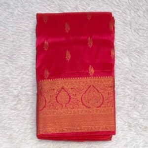 PAITHANI SAREE B25