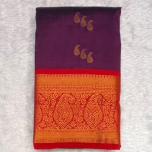 PAITHANI PT58
