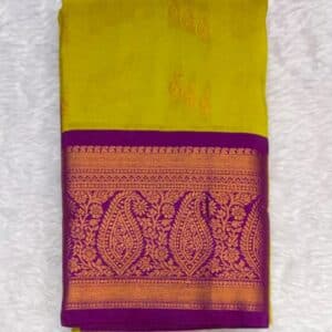 PAITHANI PT58