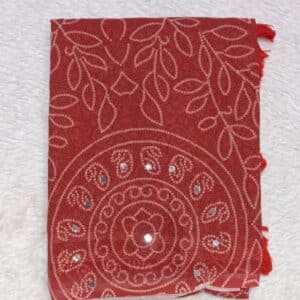 BANDHEJ SAREE DV443