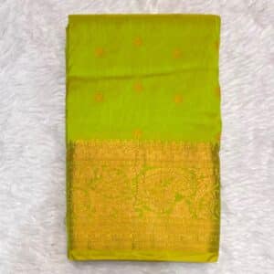 PAITHANI VH826