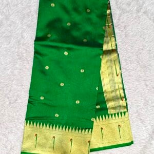 MUNIYA PAITHANI N321