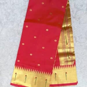 MUNIYA PAITHANI N321