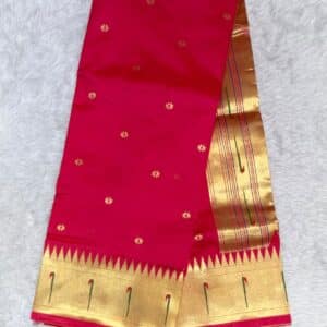 MUNIYA PAITHANI N321