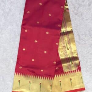 MUNIYA PAITHANI N321