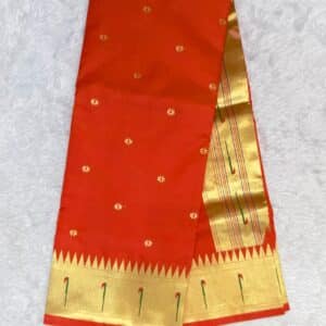 MUNIYA PAITHANI N321