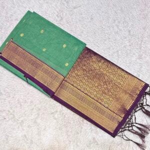 TRENDING PAITHANI T458