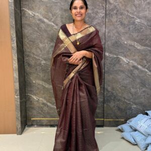 CHEKS MAHESHWARI KP854 - Image 3