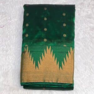 PAITHANI DL47