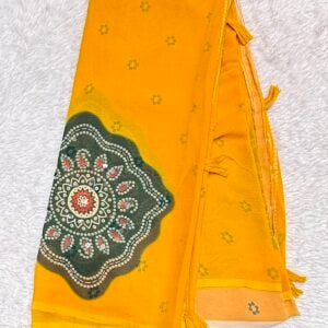 TRENDING SAREE DN746