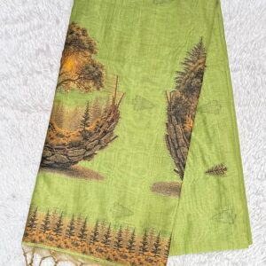 OFFICIAL SAREE AB17