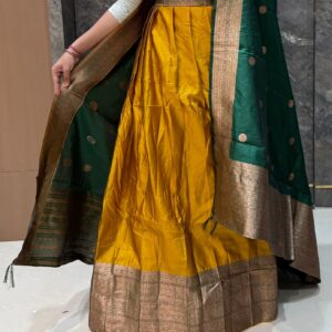 GHAGRA DY100