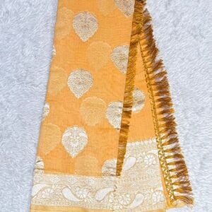 KATHPADAR SAREE BS20