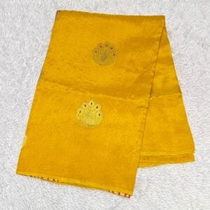 BANARASI SAREE PQ68