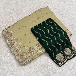 DESIGNER SAREE NR2
