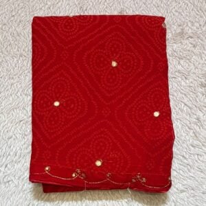 BANDHEJ SAREE SB65