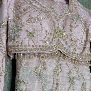 DESIGNER PARTY WEAR BRIDAL COLLECTION DPW5 - Image 3