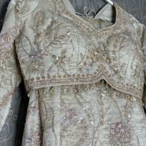 DESIGNER PARTY WEAR BRIDAL COLLECTION DPW5 - Image 3
