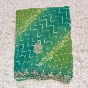 BANDHEJ SAREE BM27
