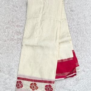 DIWALI SPECIAL SAREE NB48