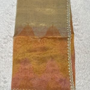 DESIGNER SAREE PN20